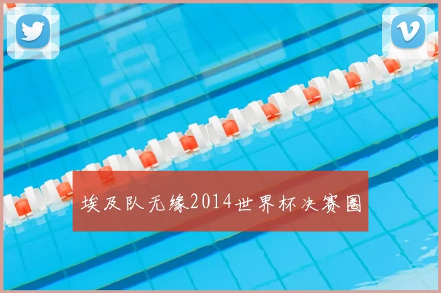埃及队无缘2014世界杯决赛圈