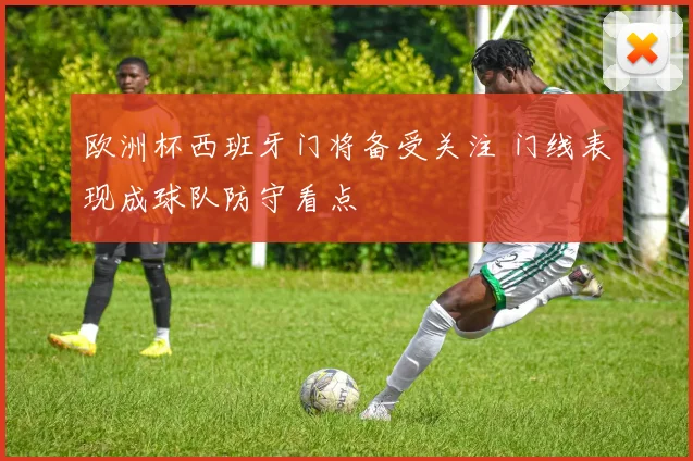 欧洲杯西班牙门将备受关注 门线表现成球队防守看点