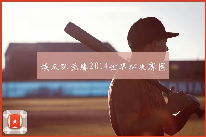 埃及队无缘2014世界杯决赛圈