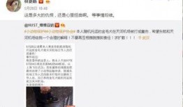 直播娱乐圈爆料都是真的吗,真相与谣言的交织