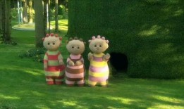 爆料花园宝宝视频下载,独家视频下载攻略大公开