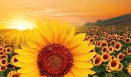 今日正能量爆料文案,今日爆料暖心瞬间