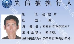 禄丰新闻爆料电话,揭秘本地新鲜事，一键掌握资讯脉搏