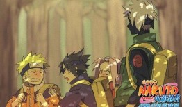 火影忍者在线观看,热血青春，忍者世界的传奇冒险