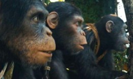 人猿崛起在线观看,探索人类进化奥秘的视觉之旅