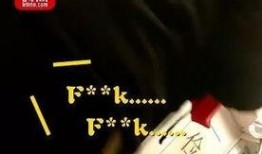 脏话 在线观看,揭秘网络脏话背后的文化现象