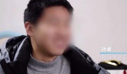 孙卓妈妈爆料视频大全集,揭开真相背后的感人故事