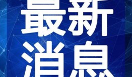伯恩最新爆料新闻视频,揭秘惊天新闻背后的真相