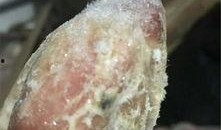 如何爆料发霉的食品呢视频,如何有效爆料发霉食品