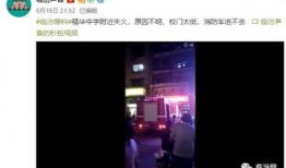 老灯爆料视频大全下载,视频大全下载背后的秘密与技巧