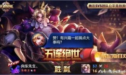 王者最新爆料白虎志,王者峡谷新英雄崛起，神秘力量觉醒