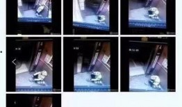 爆料美团视频,揭秘外卖行业背后的真实情况