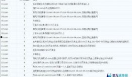 域名执行最新爆料,域名背后的惊人真相