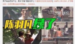 蓝海员工爆料事件视频大全,揭露职场真相与困境