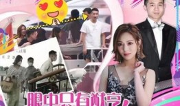 谭小姐最新爆料深圳新闻,深圳最新新闻动态大揭秘