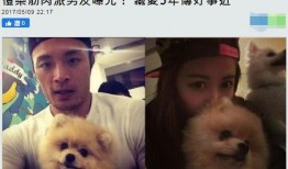 最新台媒爆料小猪,事件持续发酵