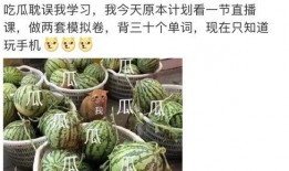 421免费吃瓜,揭秘421免费吃瓜背后的秘密与魅力