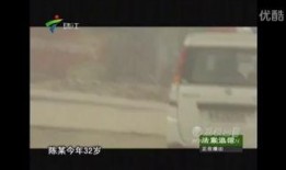 法案追踪在线观看,在线观看，揭秘立法背后的故事