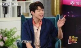 王源被爆料完整视频,真相与争议并存