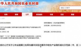 辛集新闻头条爆料群号