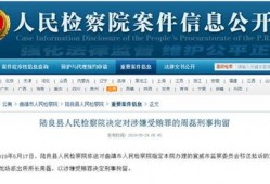 最新案件爆料信息,最新案件内幕曝光，真相令人震惊！