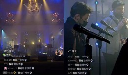 力哥爆料火牛视频大全集,火牛视频大全集深度解析