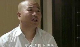 刘能换演员爆料后续视频,揭秘幕后真相与演员阵容变动