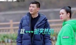 娱乐吃瓜吃不停,吃瓜不停，揭秘明星幕后故事