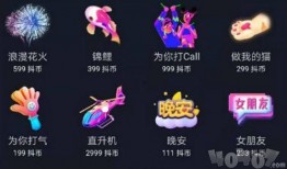 爆料抖音嘉年华视频主播,揭秘热门视频主播幕后风采