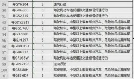 湛江新闻爆料6月份,风云变幻，精彩纷呈