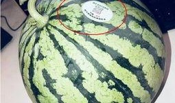 泰安网红吃瓜,揭秘网络红人的幕后故事