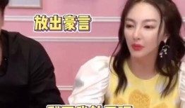 辛巴爆料老俞的视频,视频内容深度解析