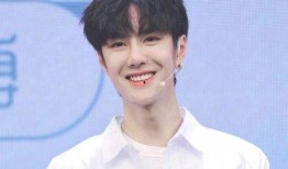 王一博被爆料的细节视频,揭秘明星私生活背后的真相