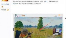 爆料吃鸡主播开挂视频,视频证据曝光惊人内幕