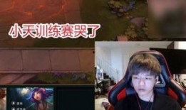 涵艺爆料冰岛刘青松视频,涵艺爆料背后的故事