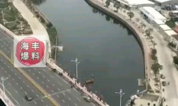 海丰爆料最新情况新闻,事件进展及影响深度解析