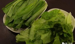 长垣免费吃瓜,畅享清凉夏日时光