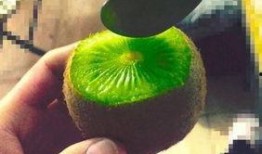 抖音上的吃瓜网红,抖音吃瓜网红带你揭秘娱乐圈幕后真相