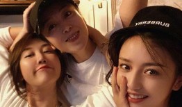 最新狗仔爆料视频大全下载,揭秘娱乐圈幕后真相