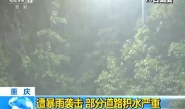 新闻爆料重庆暴雨,紧急应对措施启动
