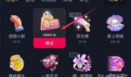 爆料抖音嘉年华视频主播,揭秘热门视频主播幕后风采