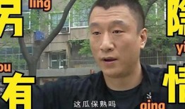 最近狗仔爆料事件新闻报道,娱乐圈最新八卦事件深度解析