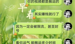爆料海藻蛋仔怎么做视频,揭秘网红美食制作过程
