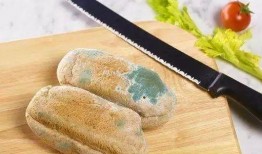 如何爆料发霉的食品呢视频,如何有效爆料发霉食品