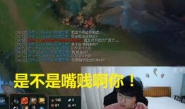 脏话 在线观看,揭秘网络脏话背后的文化现象