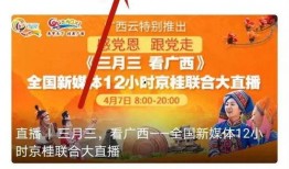 岑溪爆料新闻,聚焦民生热点，揭示社会现象