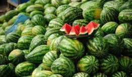 8月10日吃瓜事件网红,网红引发的网络狂欢与反思