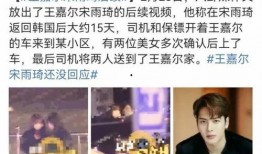 宋大嘴最新爆料视频播放,热点事件背后的惊人真相