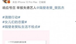 歌手被爆料聊天截图视频,揭秘幕后故事与真实情感