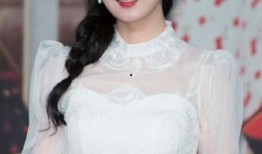 银牌爆料陈丹丹视频大全,陈丹丹视频大全精彩瞬间回顾